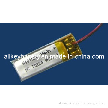 Li-Polymer Battery